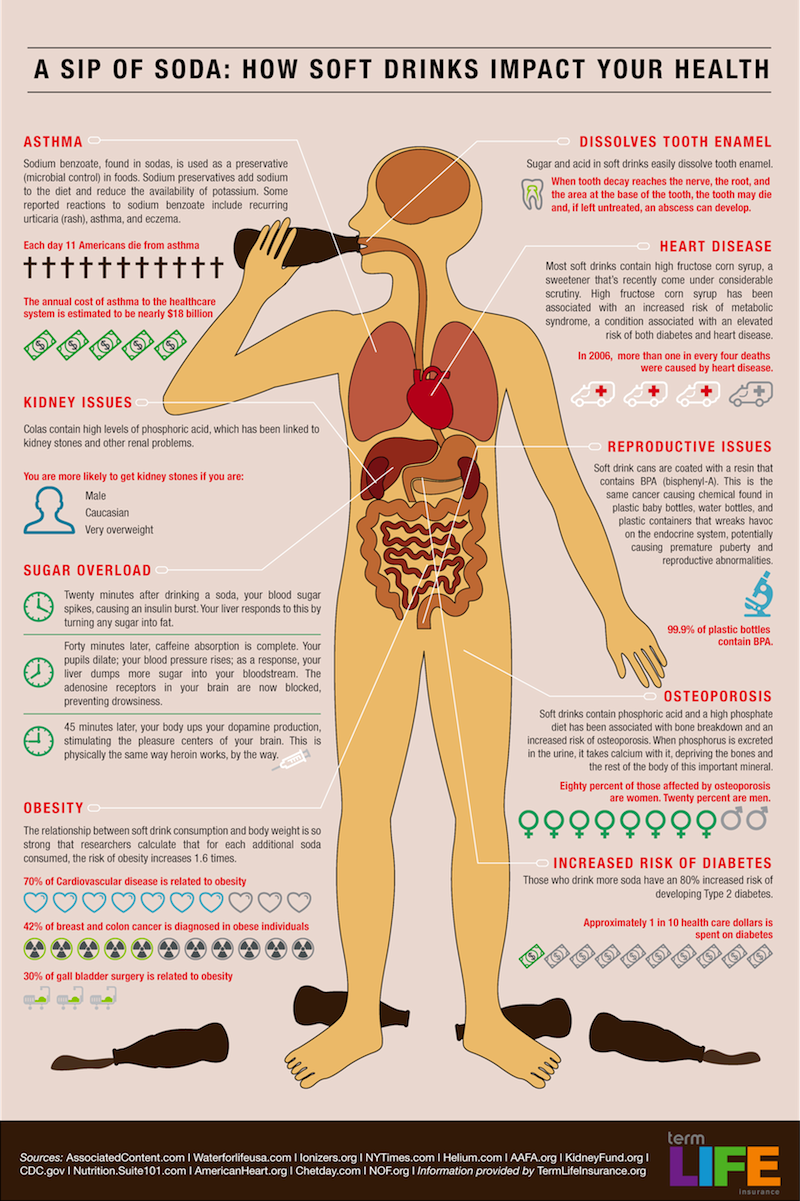 How Soft Drinks Impact Your Health Infographic